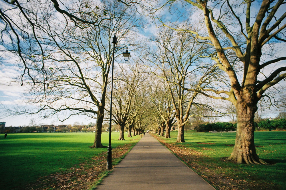 Open spaces