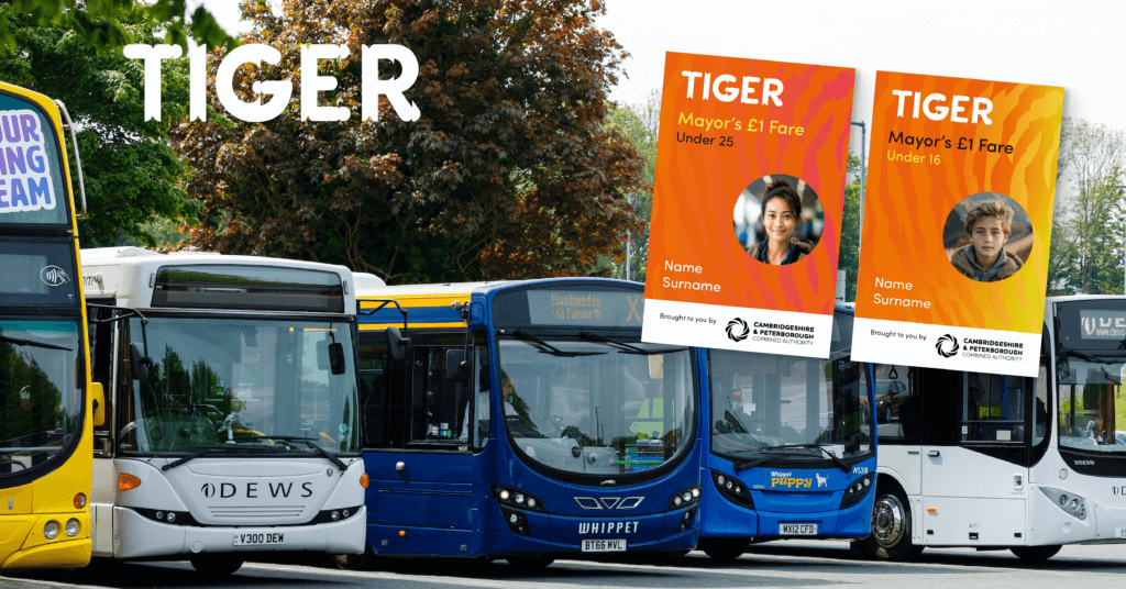 Tiger Bus Routes – Public Consultation Now Open