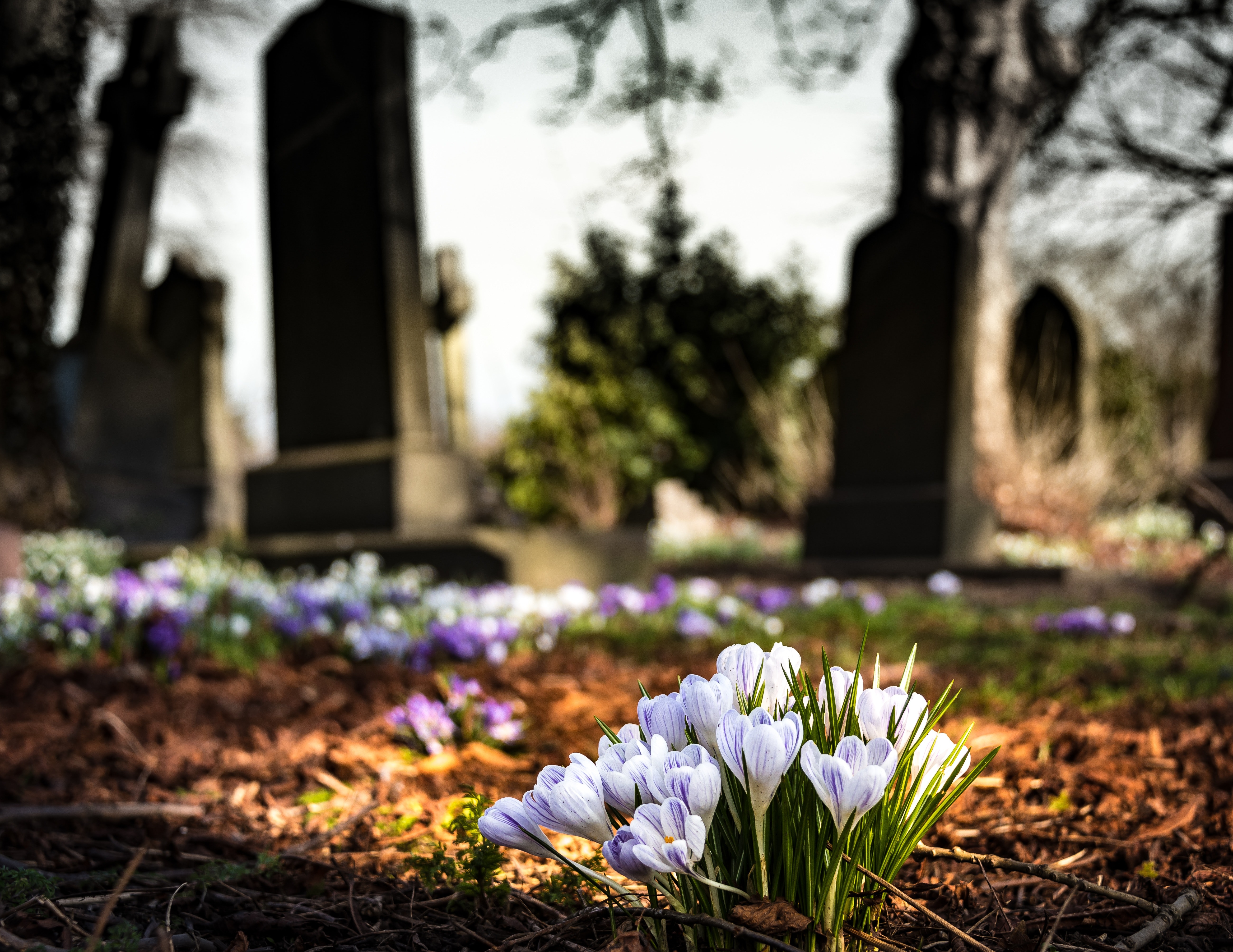 Bottisham New Cemetery Short Survey