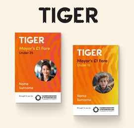 £1 Tiger Pass <25